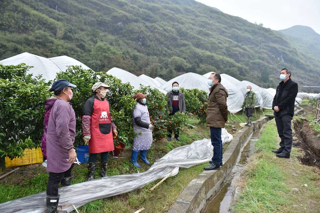 灌阳县农业农村局最新发展规划