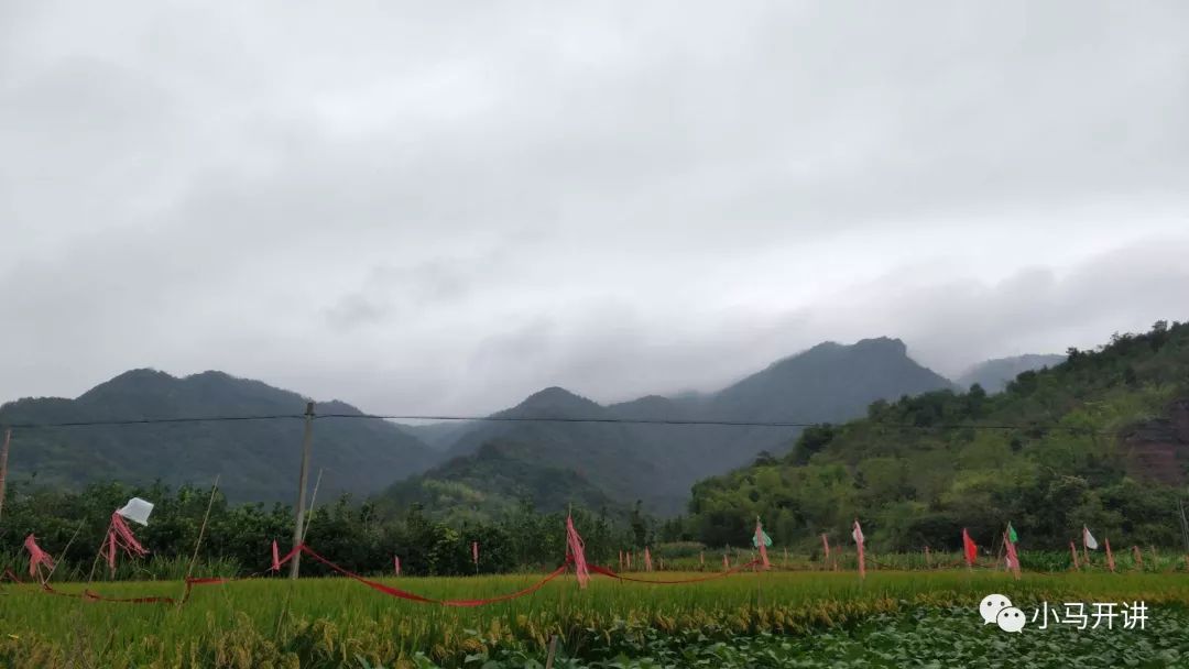 靠山种畜场天气预报更新通知