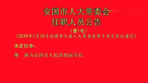 安国镇人事任命最新动态与未来展望